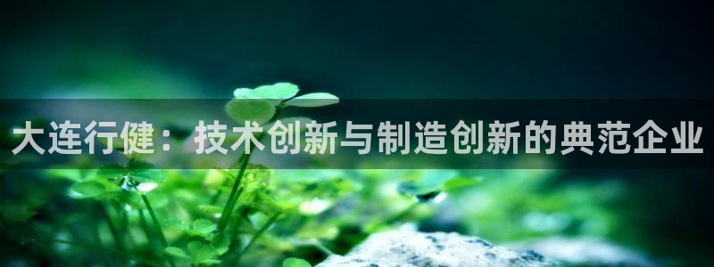 天辰娱乐小妹:大连行健:技术创新与制造创新的典范企业