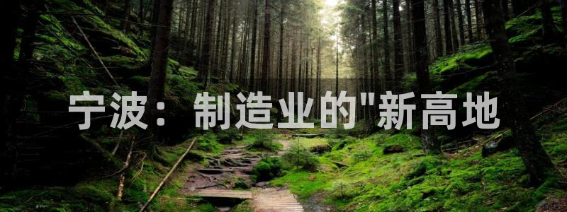 天辰娱乐卡:宁波:制造业的\