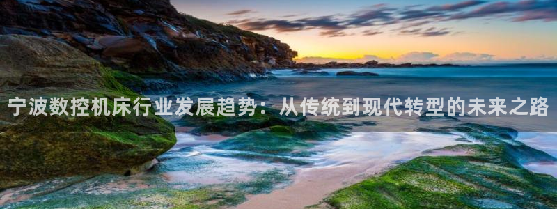 深圳天辰娱乐:宁波数控机床行业发展趋势:从传统到现代转型的未来之路