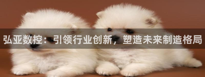 天辰娱乐总管:弘亚数控:引领行业创新,塑造未来制造格局