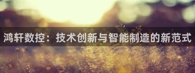 天辰娱乐7天22650:鸿轩数控:技术创新与智能制造的新范式