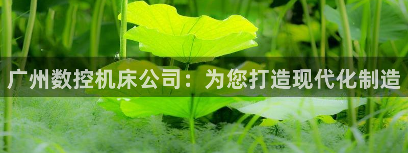 天辰娱乐测试:广州数控机床公司:为您打造现代化制造