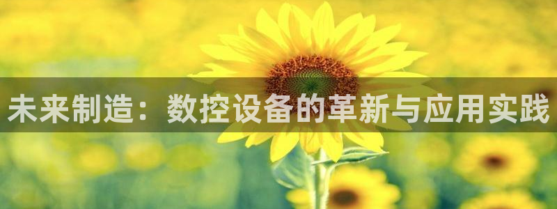 辰天娱乐用品:未来制造:数控设备的革新与应用实践