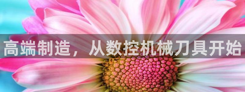 天辰娱乐分红:高端制造,从数控机械刀具开始