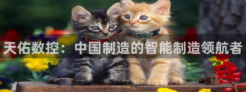 天辰宝宝娱乐:天佑数控:中国制造的智能制造领航者