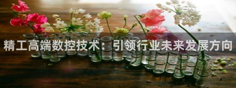 天辰娱乐平台app下载:精工高端数控技术:引领行业未来发展方向