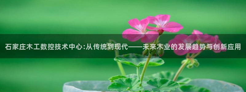 天辰娱乐下载链接:石家庄木工数控技术中心:从传统到现代——未来木业的发展趋势与创新应用